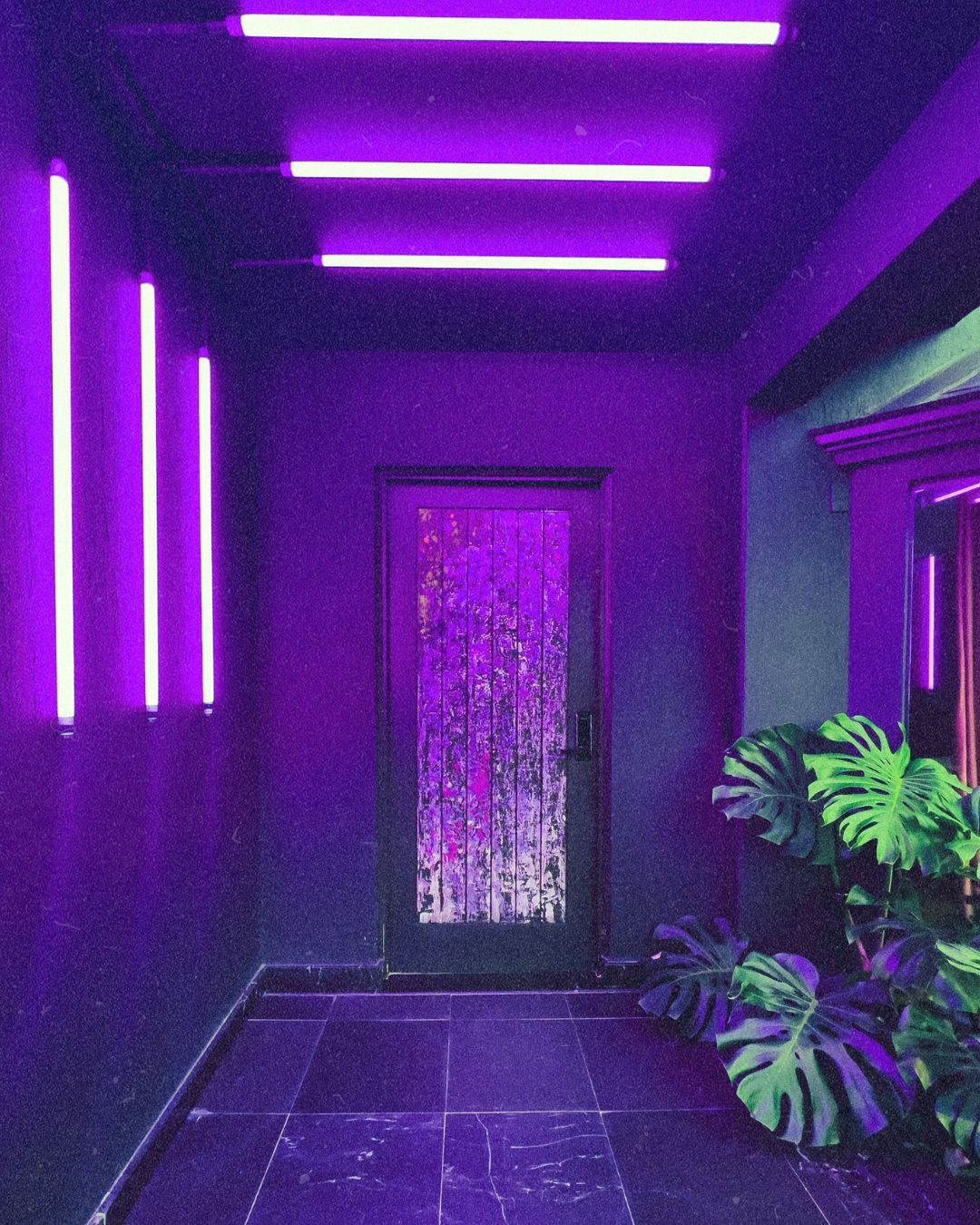 Enter the Purple Void